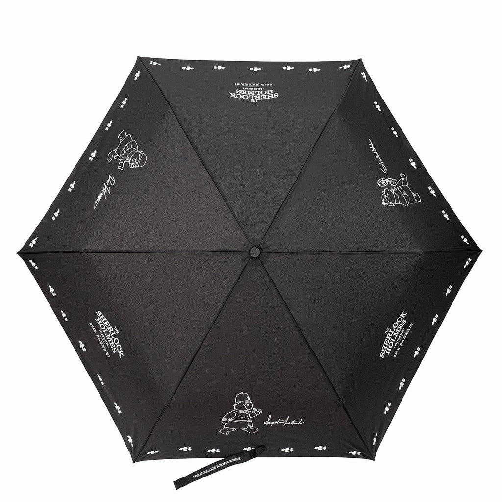 Umbrella Teddy